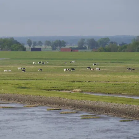 Watt N Nest Apartmán